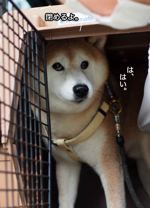 12日夜ブログ８