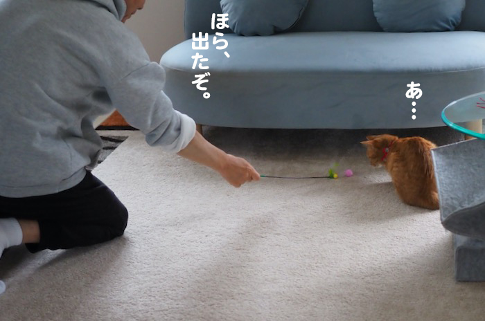 9日夕ブログ４