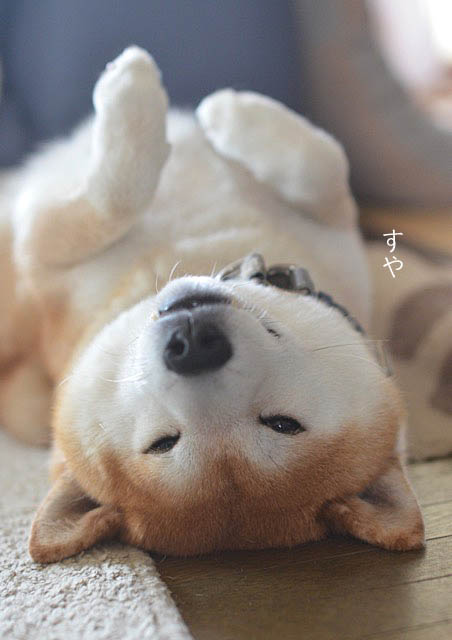 26日先ブログ4