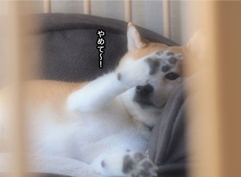 14日ブログ7.jpg
