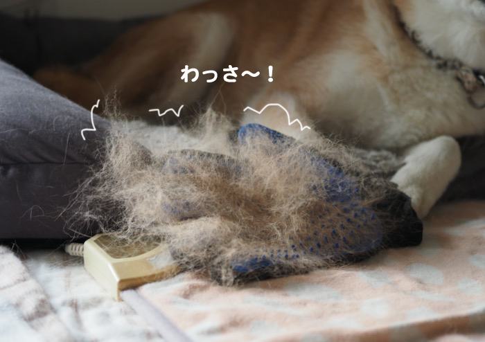 16日夕ブログ３