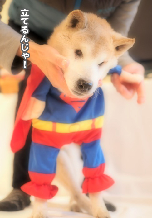 18日ブログ６