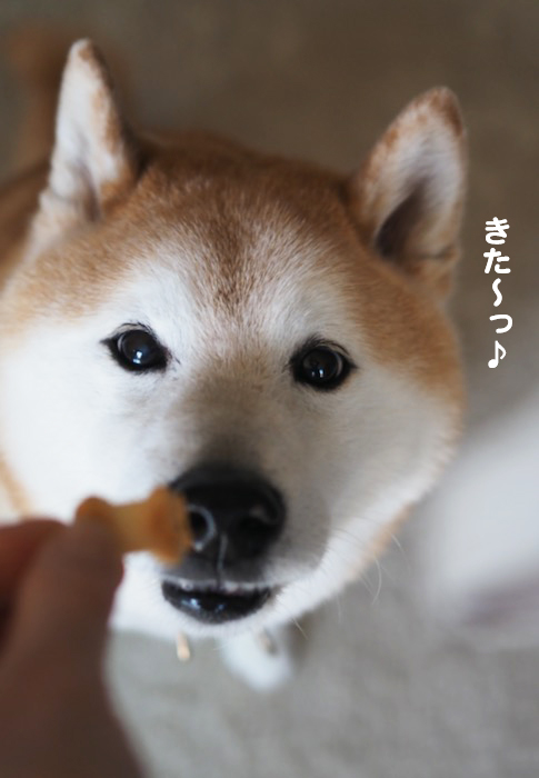 4日ブログ４