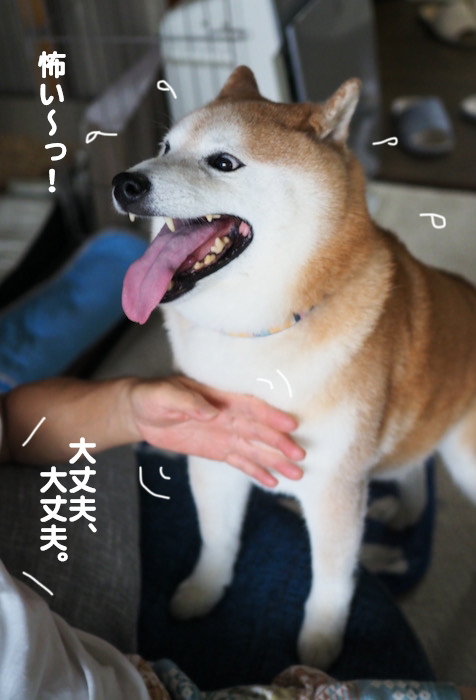 26日夕ブログ５