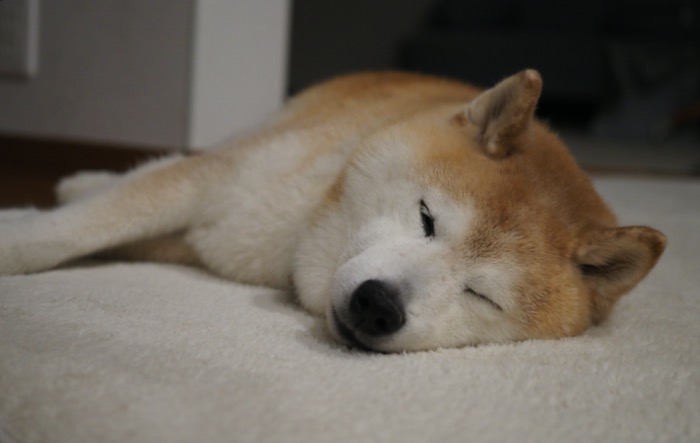 11日午前用2