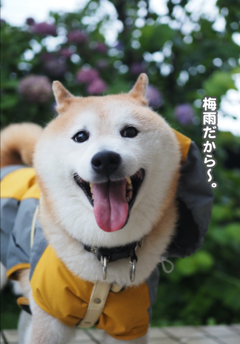 28日夕ブログ５