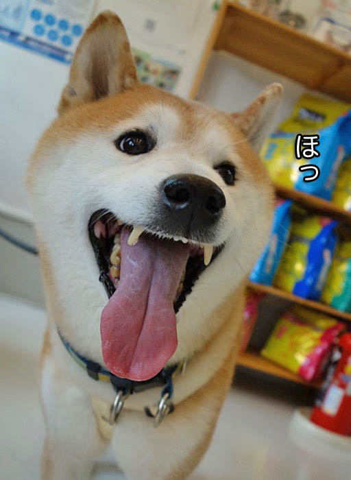 17日ブログ６