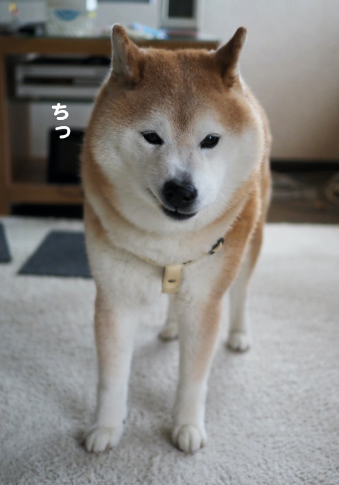 7日夕ブログ３