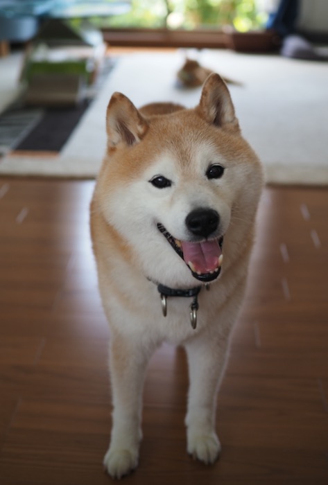 8日ブログ１