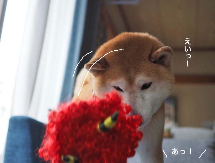 2日ブログ11