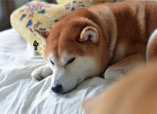 17日ブログ10.jpg