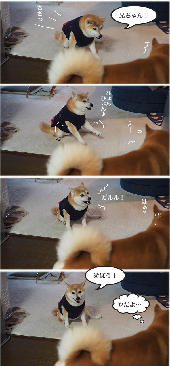 2日夜ブログ４