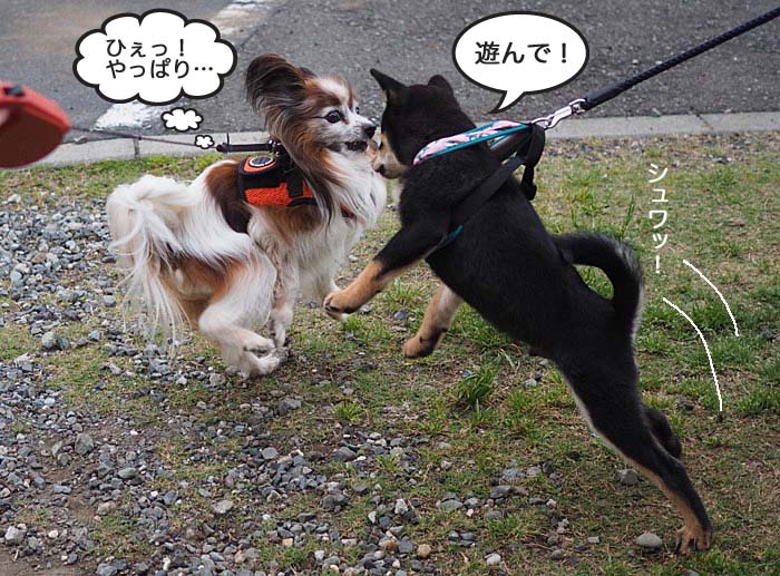 20日ブログ４