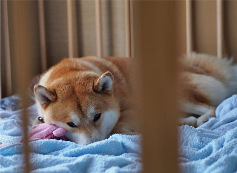 23日ブログ11.jpg