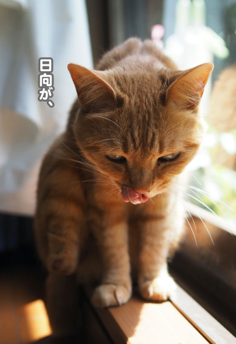 28日ブログ４