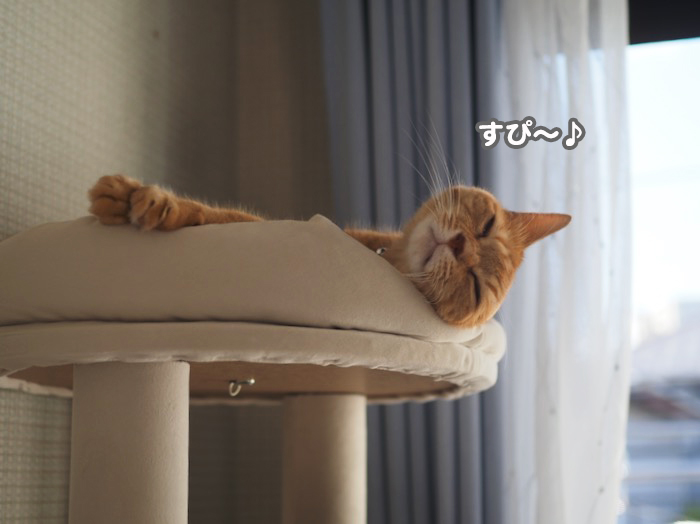 18日夕ブログ７