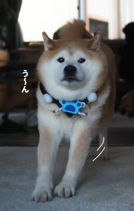 3日夕ブログ２