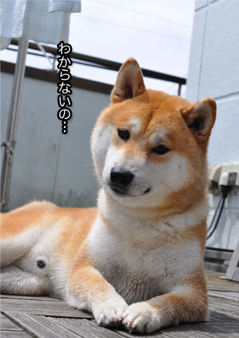 27日ブログ11.jpg