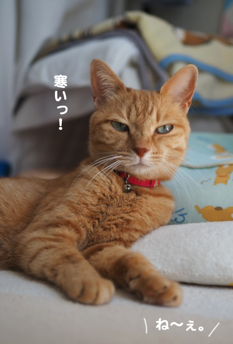 21日夕ブログ２