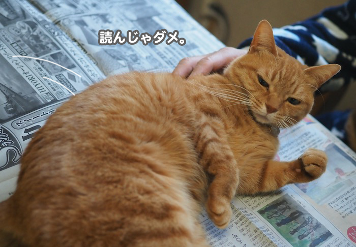 7日朝ブログ２