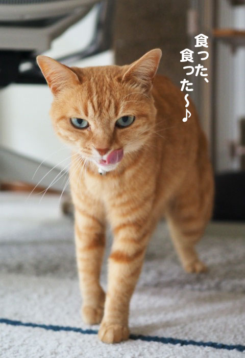 5日夕ブログ6