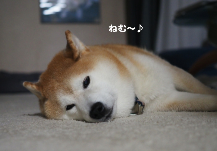 7日夜ブログ２