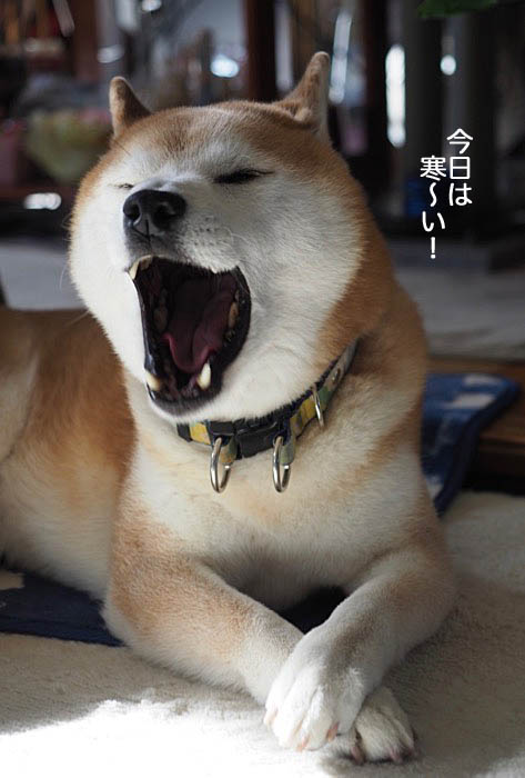 4日ブログ３
