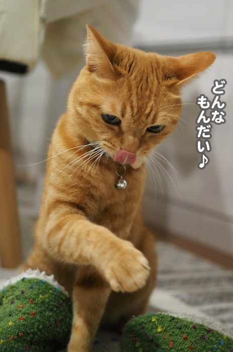 17日夕ブログ6