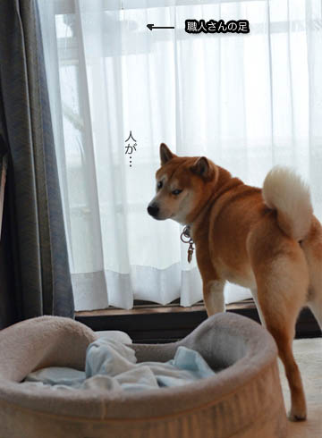 29日ブログ7.jpg