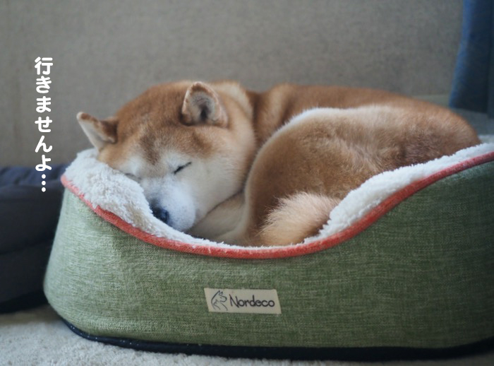 16日ブログ４