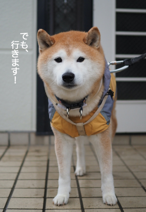 10日夜ブログ３