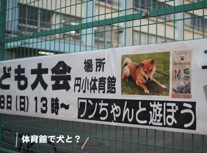 15日夕ブログ６