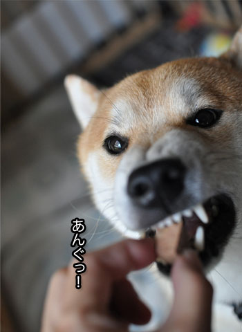 30日ブログ12.jpg