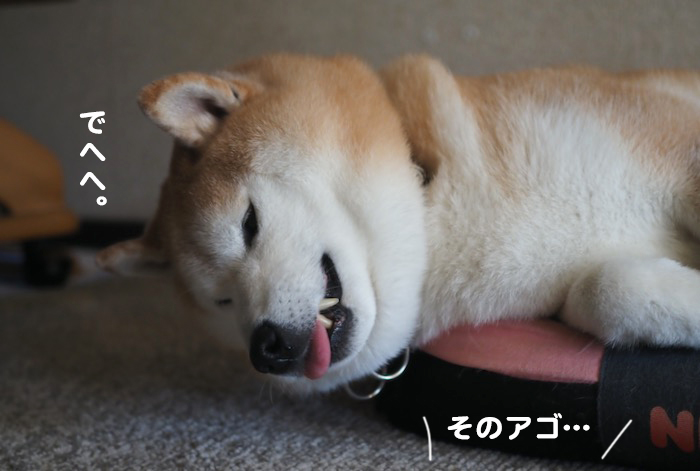 8日夕ブログ４