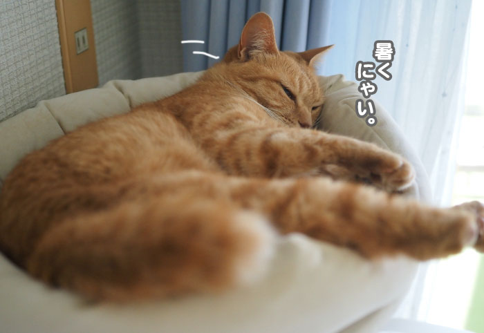 10日夕ブログ７