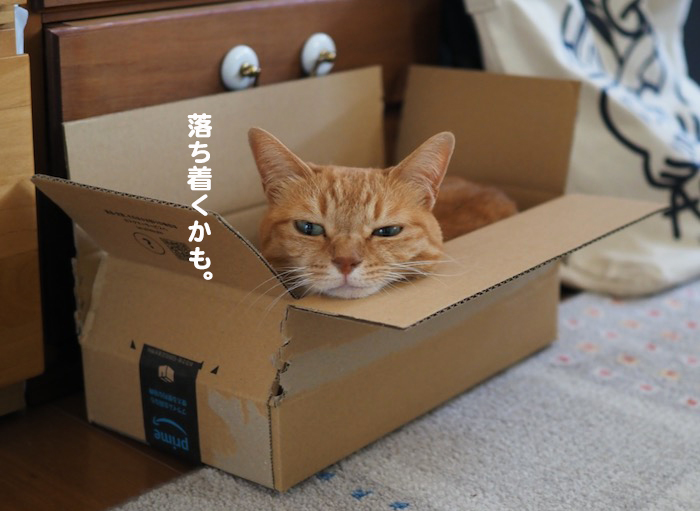 10日夕ブログ２