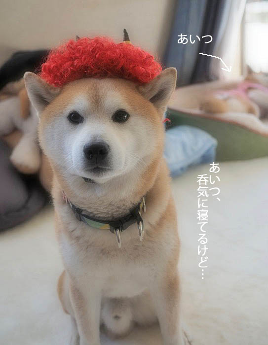 3日ブログ３