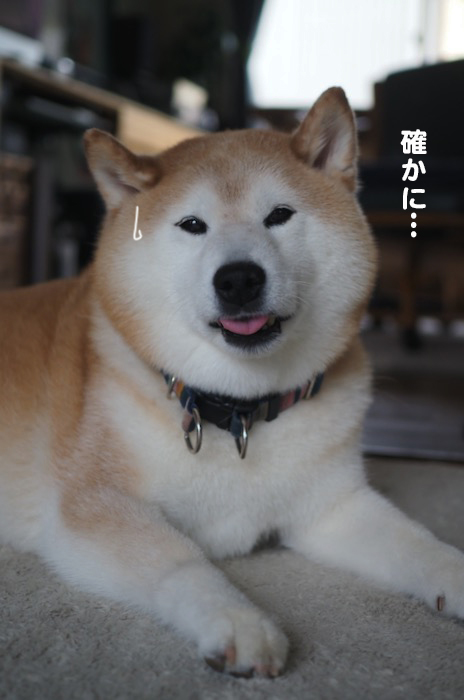 21日夕ブログ４