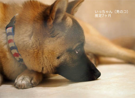 30日ブログ6.jpg