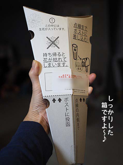 2日ブログ1