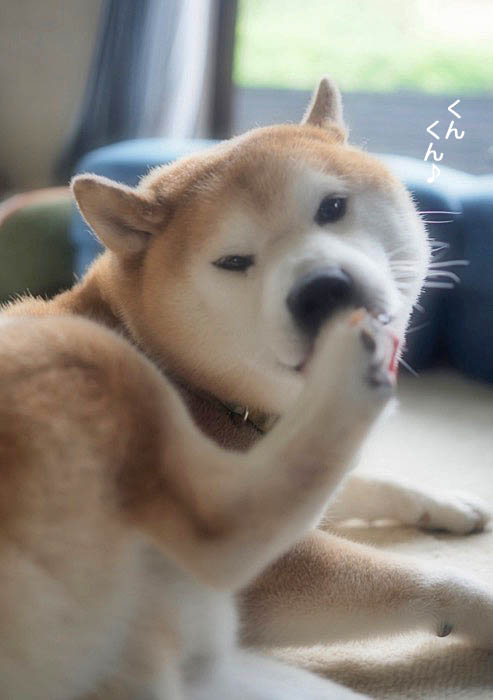22日ブログ３