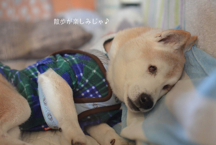 11日ブログ11