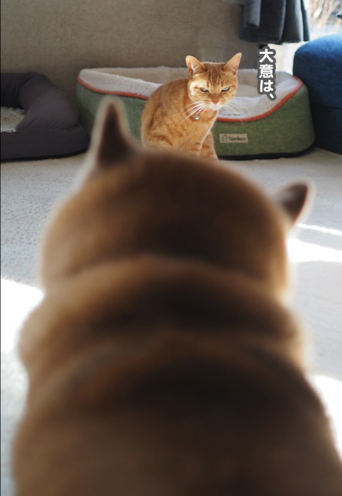 25日ブログ３