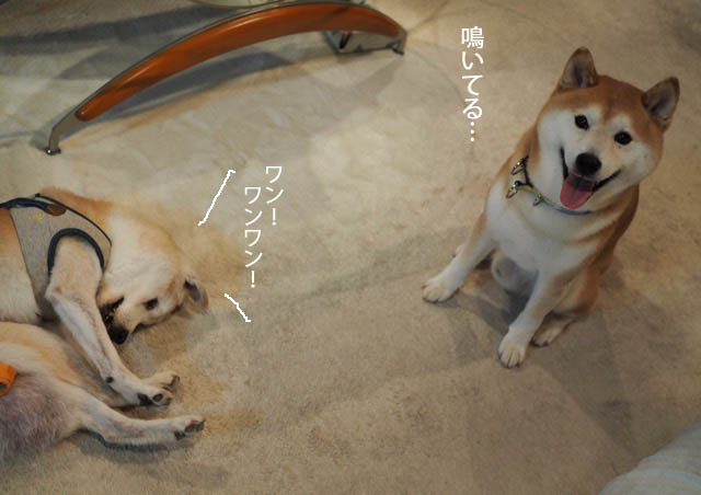 5日ブログ3
