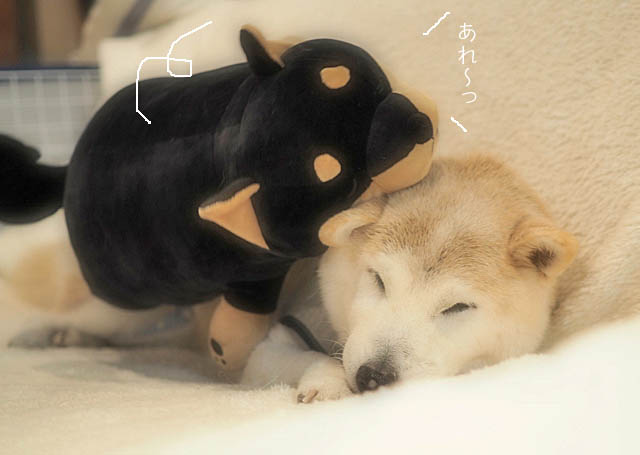7日ブログ4