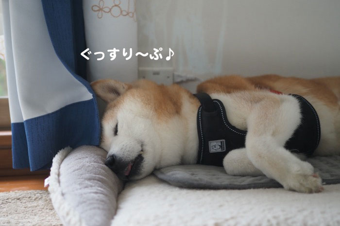 13日ブログ２