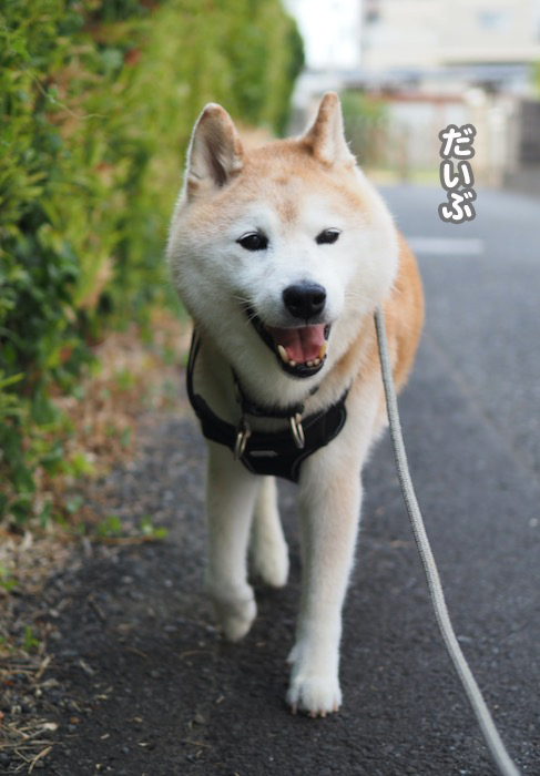 28日夕ブログ２
