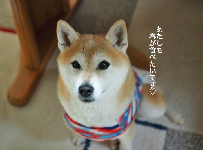 1日ブログ4