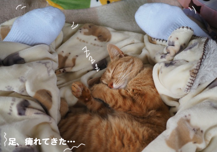 26日朝ブログ３
