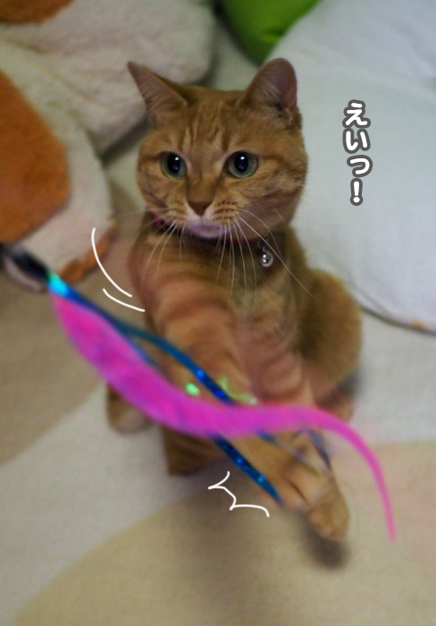 10日夕ブログ４